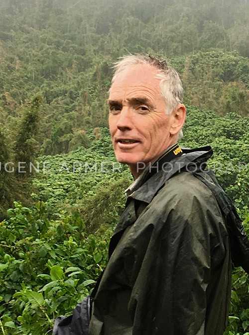 IMG_1220 Eugene Armer Rainforest