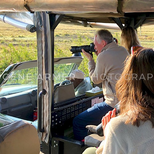 fullsizeoutput_1493 Eugene Armer Wildlife